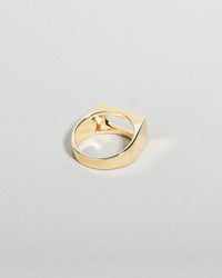 Sunlight Guld og Diamant Ring